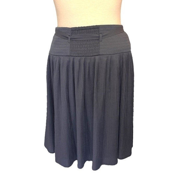 Leifsdottier (Anthropologie) Grey Plisse Skirt with Yoke Drop Waist and Sash - Picture 10 of 14